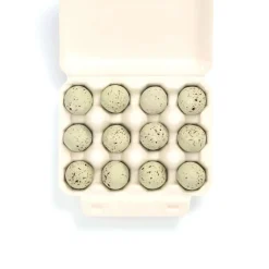 12 Barn Owl Eggs by The Chocolate Detective