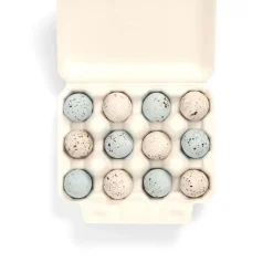 12 Robin Eggs by The Chocolate Detective