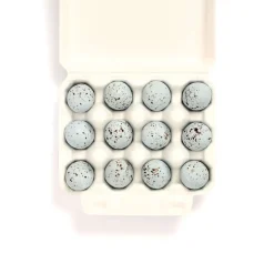 12 Song Thrush Eggs by The Chocolate Detective