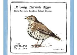 12 Song Thrush Eggs by The Chocolate Detective
