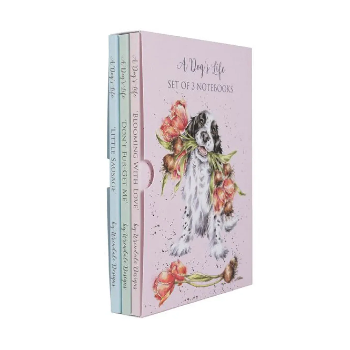 A Dog's Life - Set of 3 Notebooks