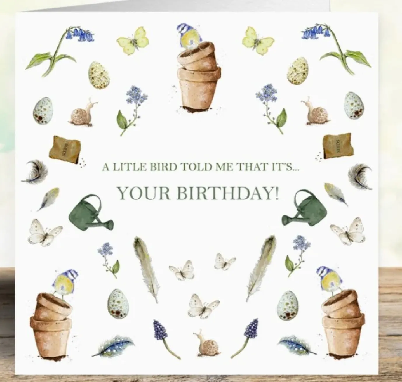 'A Little Bird Told Me' Birthday Card