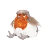 'Adele' The Jolly Robin Plush