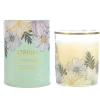 Atrium Blue Cypress Glass Candle