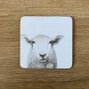 Baaley the Sheep Coaster