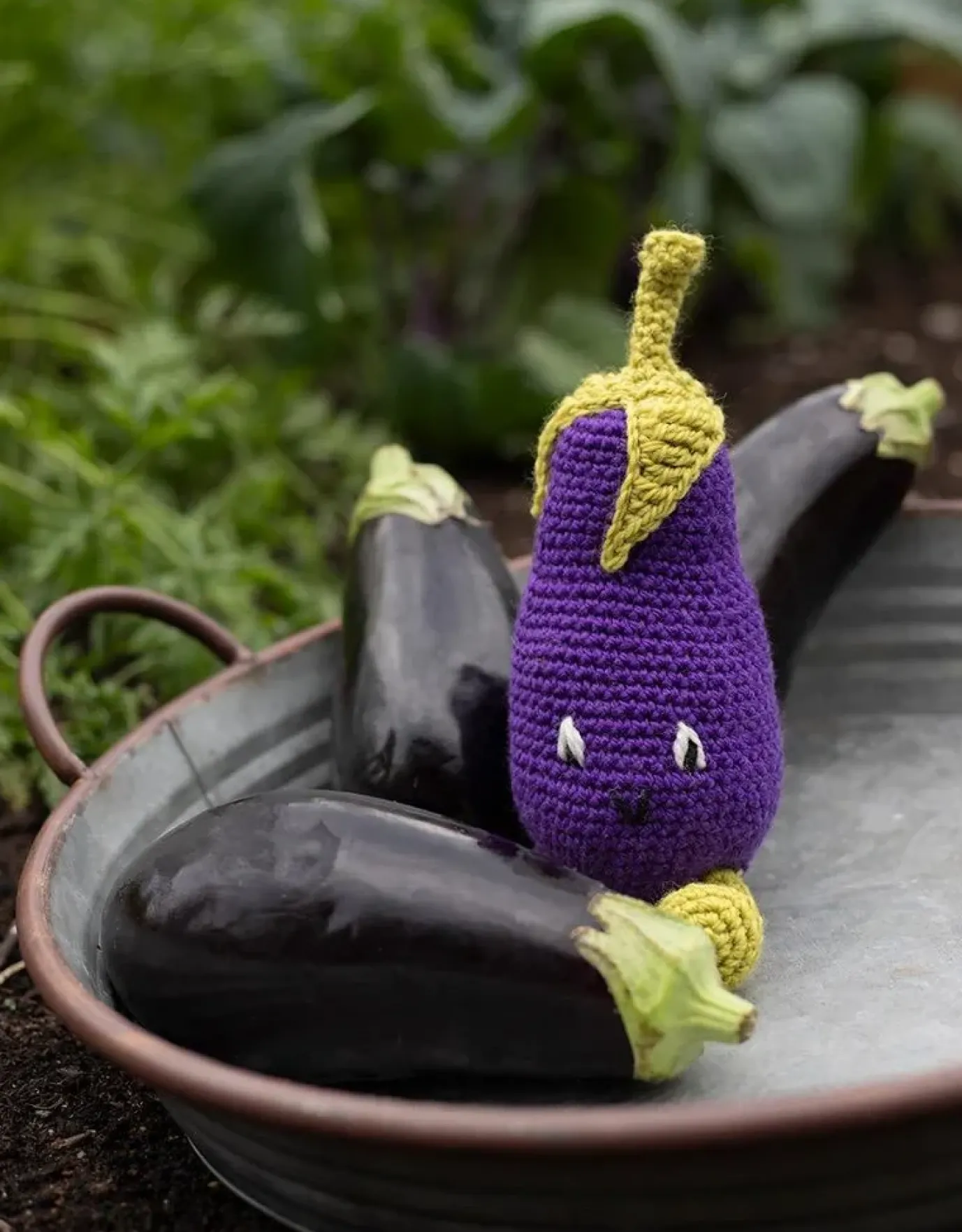 Baby Aubergine Kit