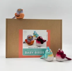 Baby Birds Needle Felting Kit