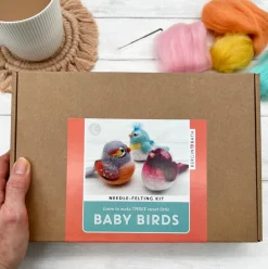 Baby Birds Needle Felting Kit
