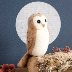 Barn Owl Needle Felting Kit
