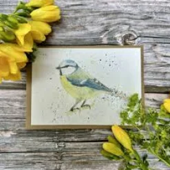 Betty the Bluetit Blank Eco-Card