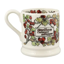 Birds In The Hedgerow Hawthorn & Chaffinch 1/2 Pint Mug