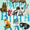 Birthday Animals Greetings Card