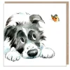 Black and White Collie with Butterfly Greetings Card
