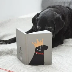 Black Labrador Notebook
