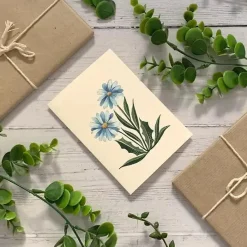 Blue Daisies Greetings Card