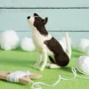 Border Collie Needle Felting Kit