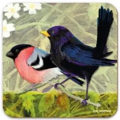 British Birds 3  Coaster