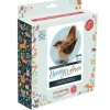 British Birds - Jenny Wren Needle Felting Kit