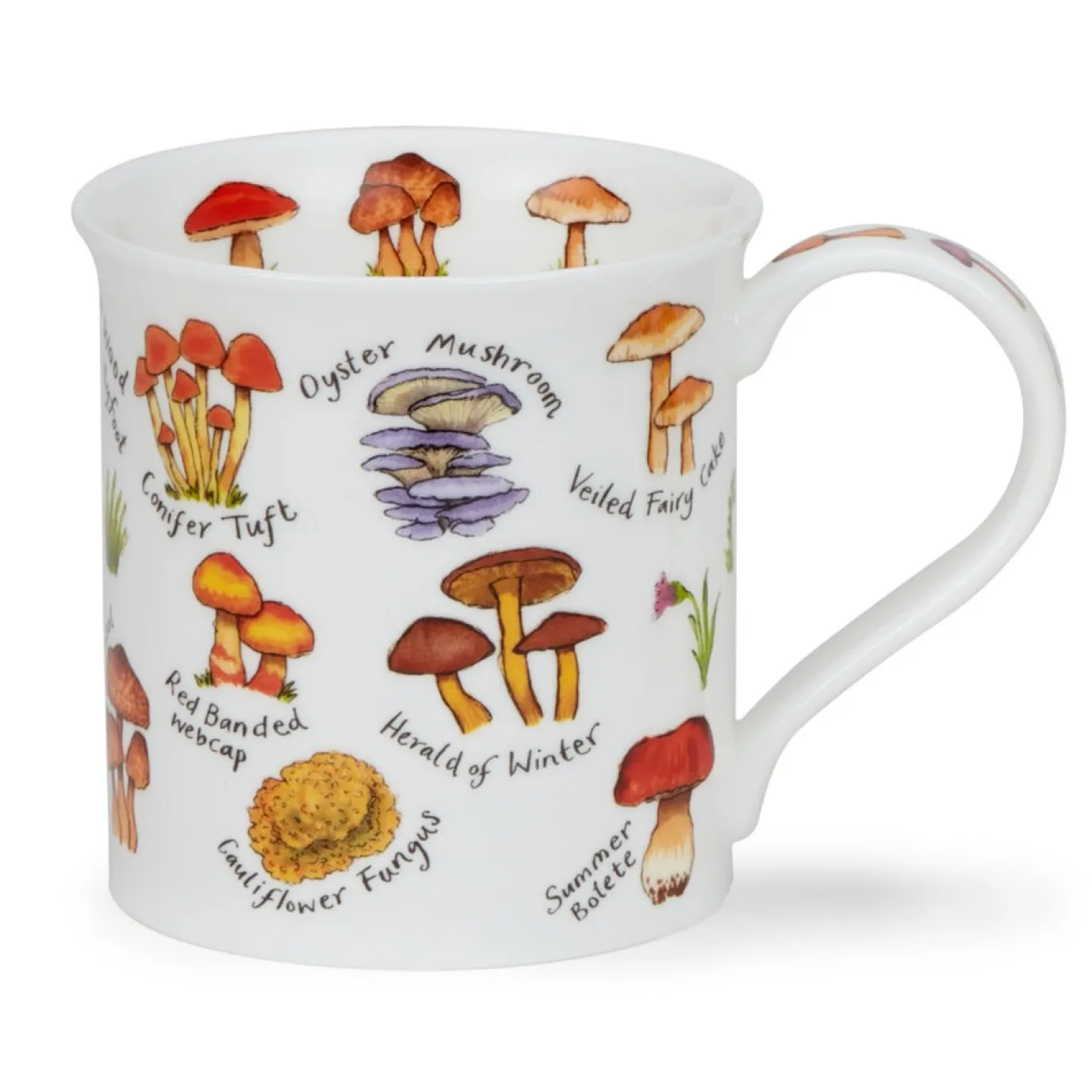Bute Mushrooms & Toadstools Mug