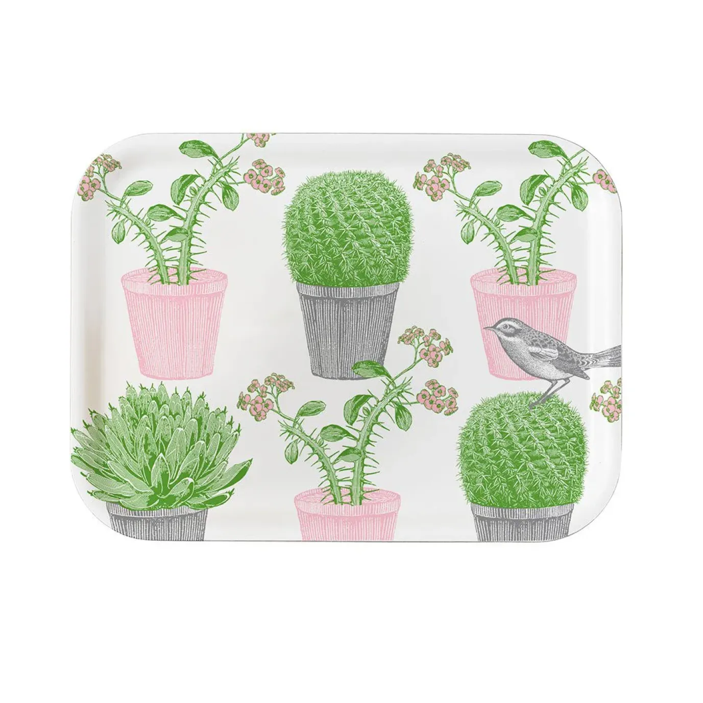 Cactus & Bird Small Tray