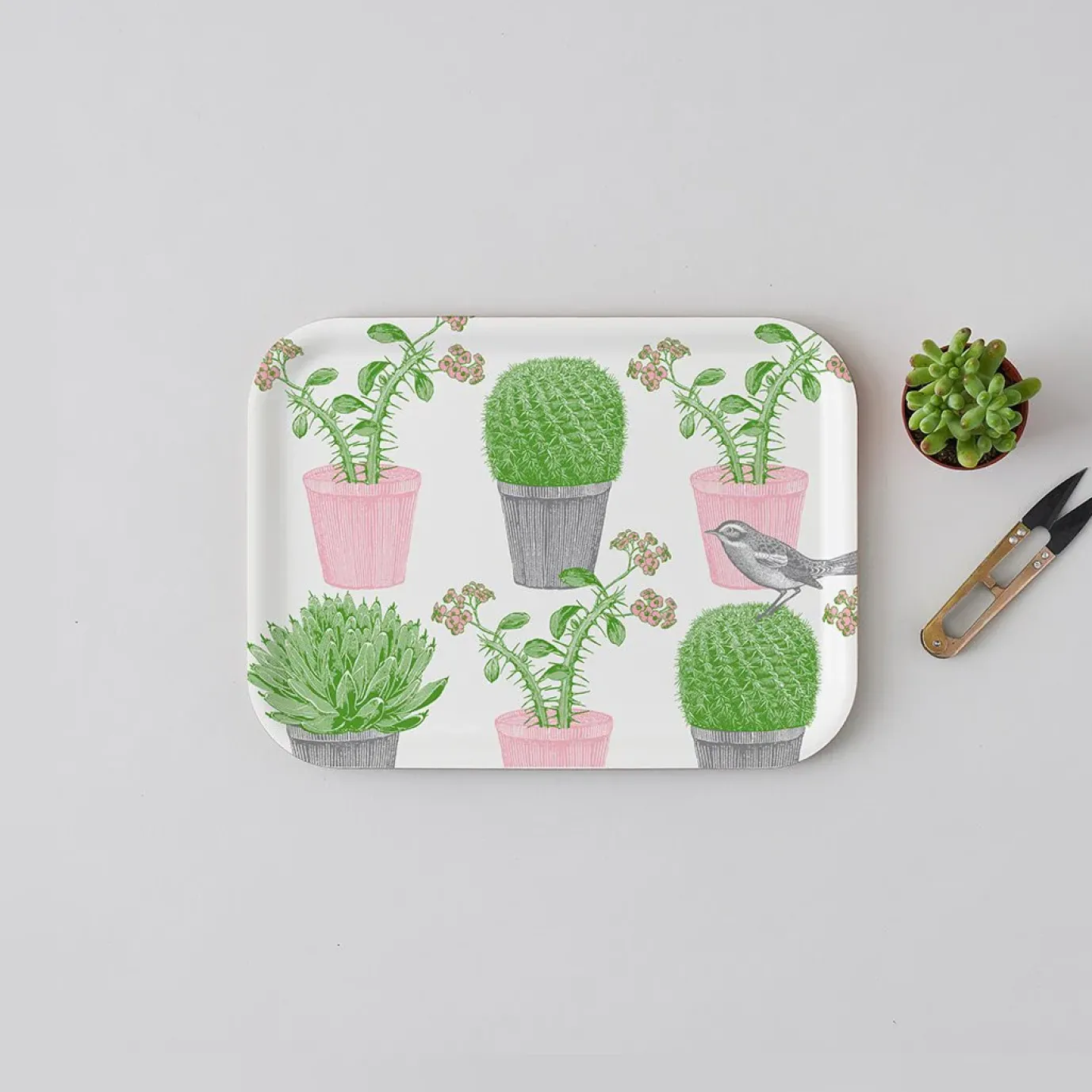 Cactus & Bird Small Tray