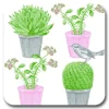 Cactus and Bird Pot Stand