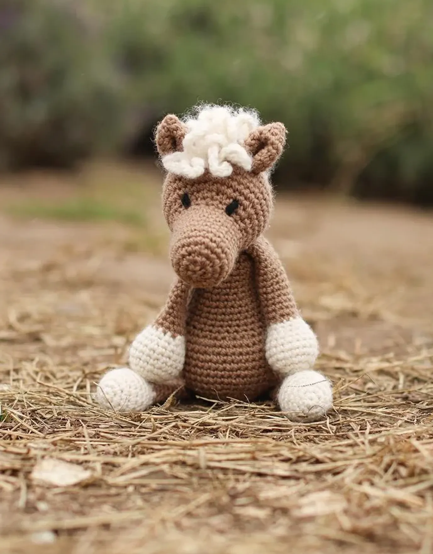 Chardonnay the Pony Kit