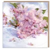Cherry Blossoms by Dan O'Brien Greetings Card