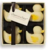 Chocolate Ducks