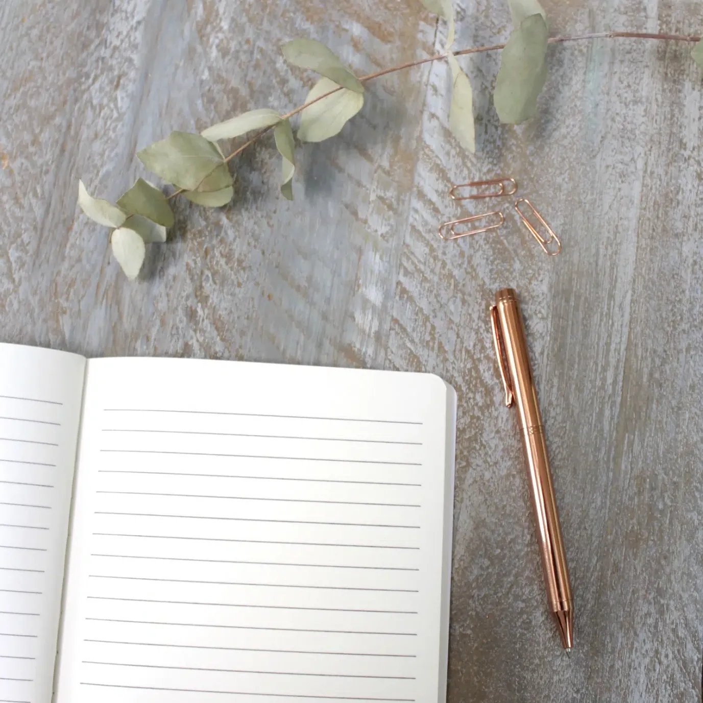 Christmas Dogs A5 Lined Notebook