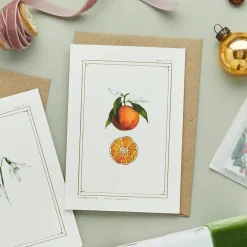 Clementine - 'Botanical Archive: Festive Edition' - card