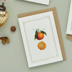 Clementine - 'Botanical Archive: Festive Edition' - card