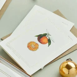 Clementine - 'Botanical Archive: Festive Edition' - card
