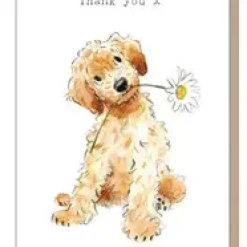 Cockapoo with Daisy "Thank You" Greetings Card