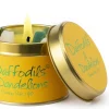 Daffodils & Dandelions Scented Candle