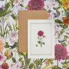 Dahlia - 'Botanical Archive: Everyday Edition' - card