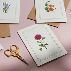 Dahlia - 'Botanical Archive: Everyday Edition' - card