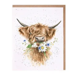 'Daisy Coo' Blank Greetings Card