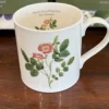 Downy-leaved Dog Rose Mug