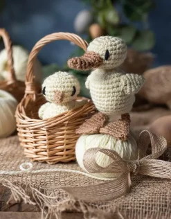 Duckling and Chick Crochet Kit