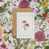 Echinacea - 'Botanical Archive: Everyday Edition' - card