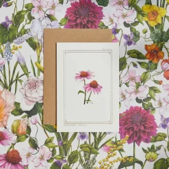 Echinacea - 'Botanical Archive: Everyday Edition' - card