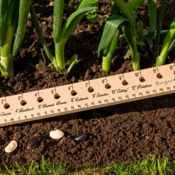 Essential Tools Plant Rule