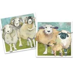 Felted Sheep pack of 10 Mini Notecards