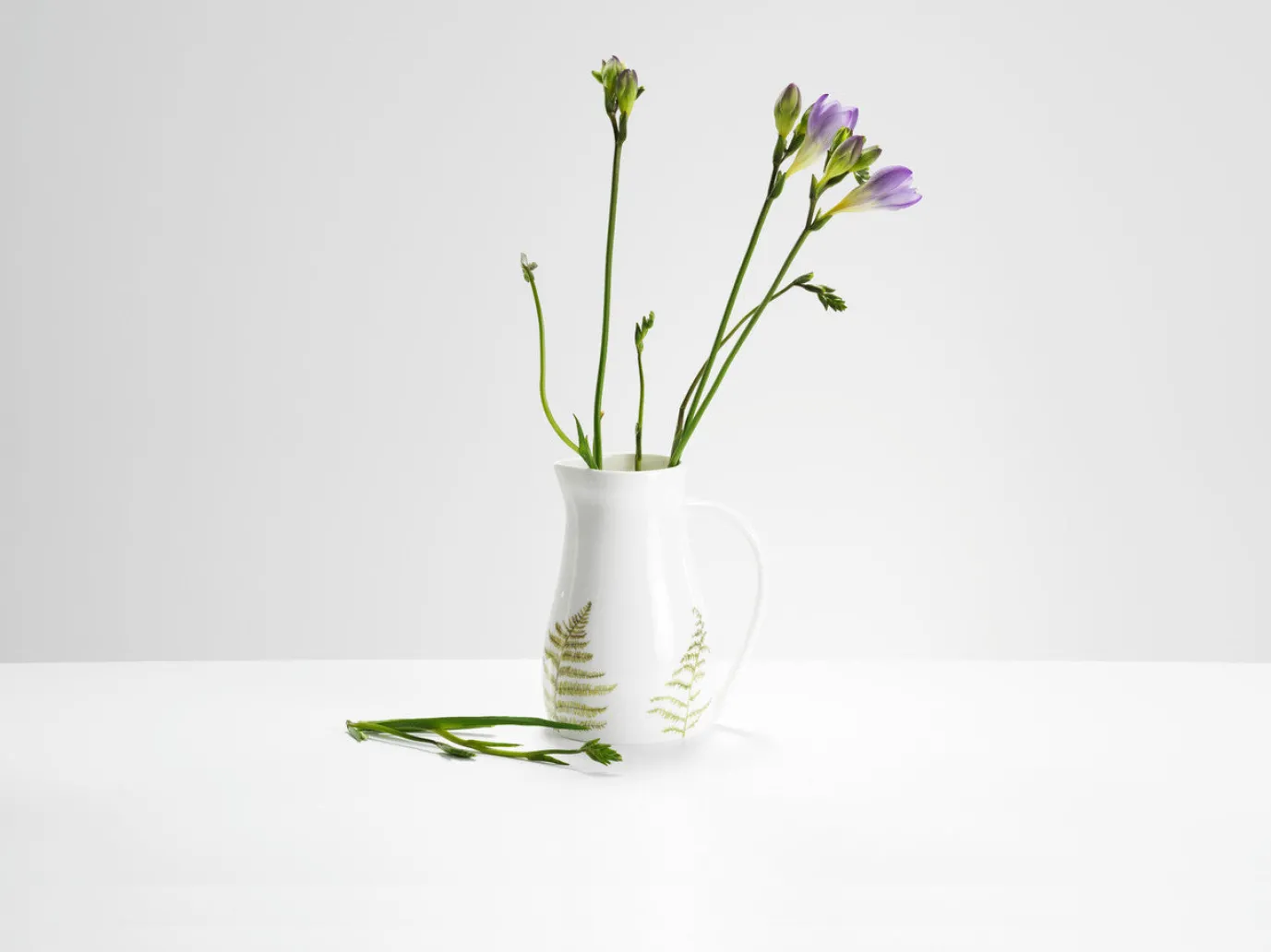 Ferns Jug