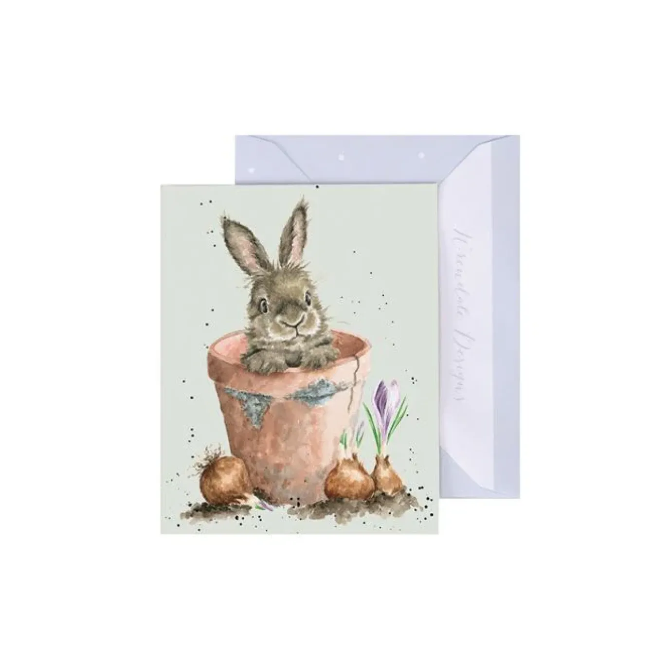 'Flower Pot Bunny' Rabbit Enclosure Card