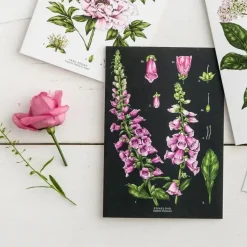 Foxglove - Black - card