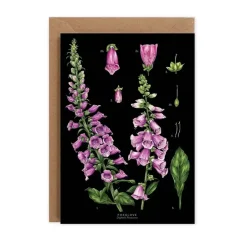 Foxglove - Black - card