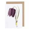 Fritillary Blank Greetings Card
