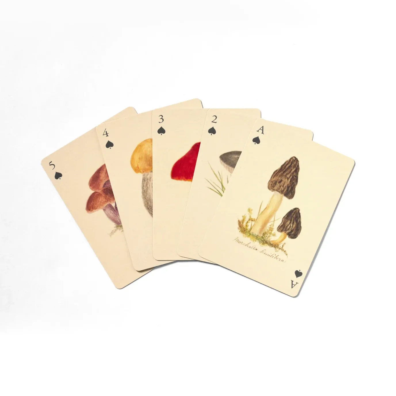 Fungi Playing Cards - Set of 2 Decks